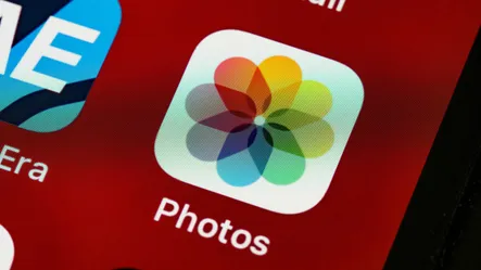 How to Find Deleted Photos on Instagram How to Find Deleted Photos on Instagram