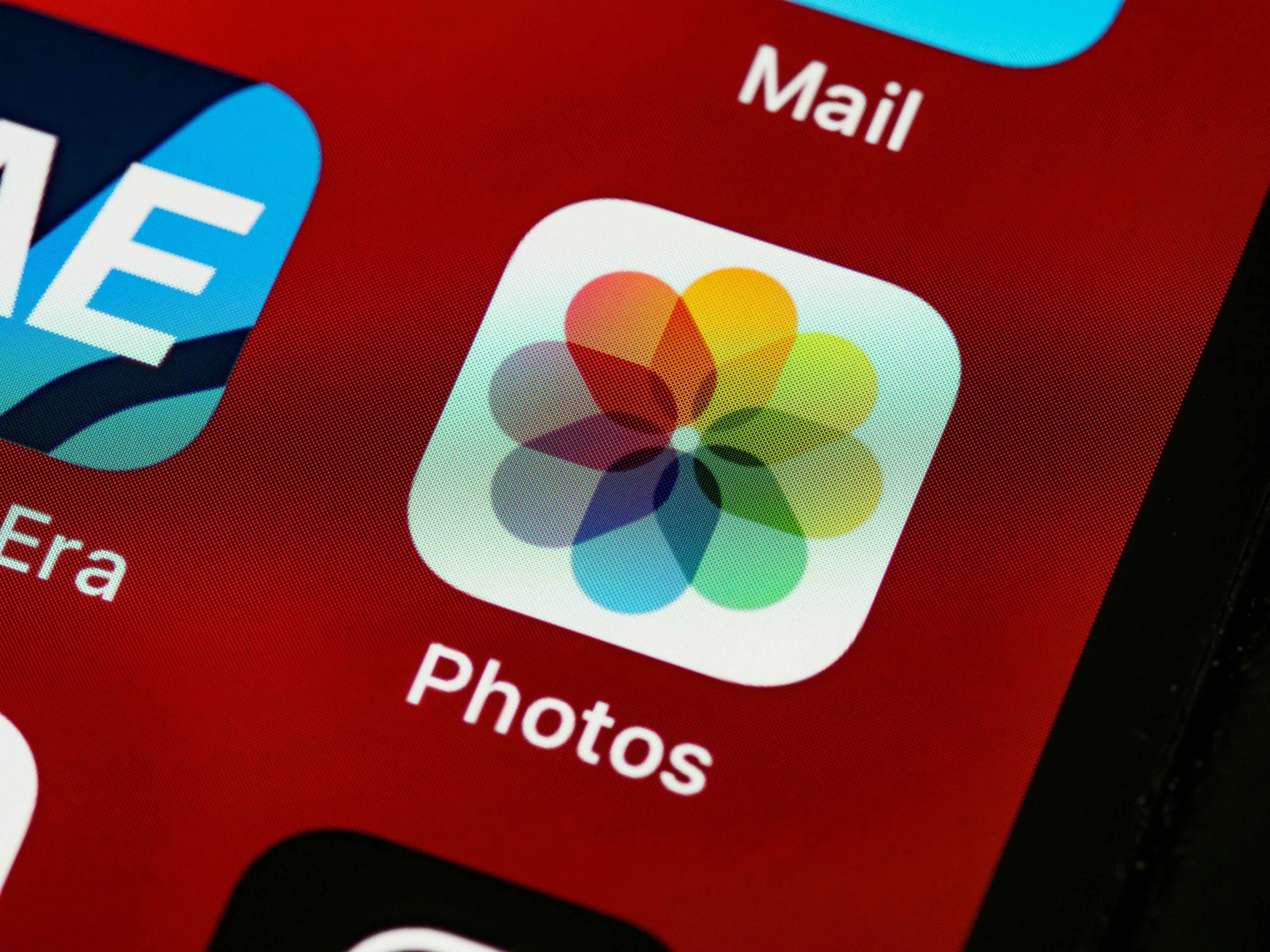 How to Find Deleted Photos on Instagram