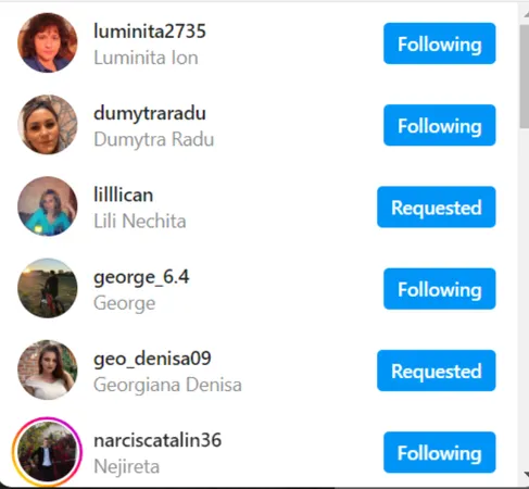 Following List on Instagram 