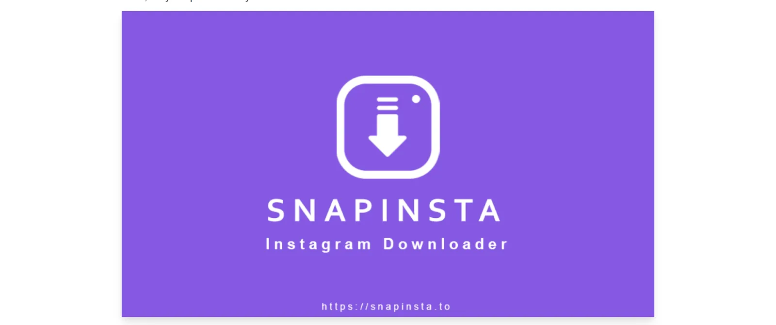 SnapInsta Private Downloader Review