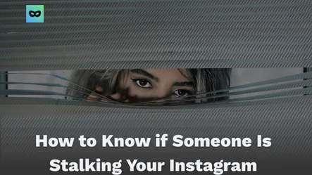 How to Know if Someone Is Stalking Your Instagram How to Know if Someone Is Stalking Your Instagram