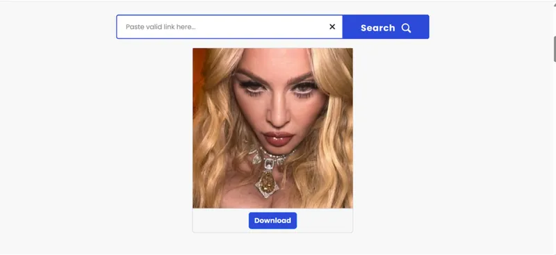 Screenshot showing how to click the download button on Insaver after pasting Madonna’s Instagram link Screenshot showing how to click the download button on Insaver after pasting Madonna’s Instagram link