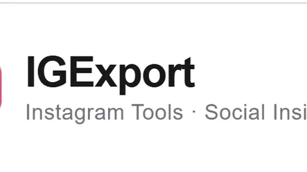 IGExport logo IGExport logo