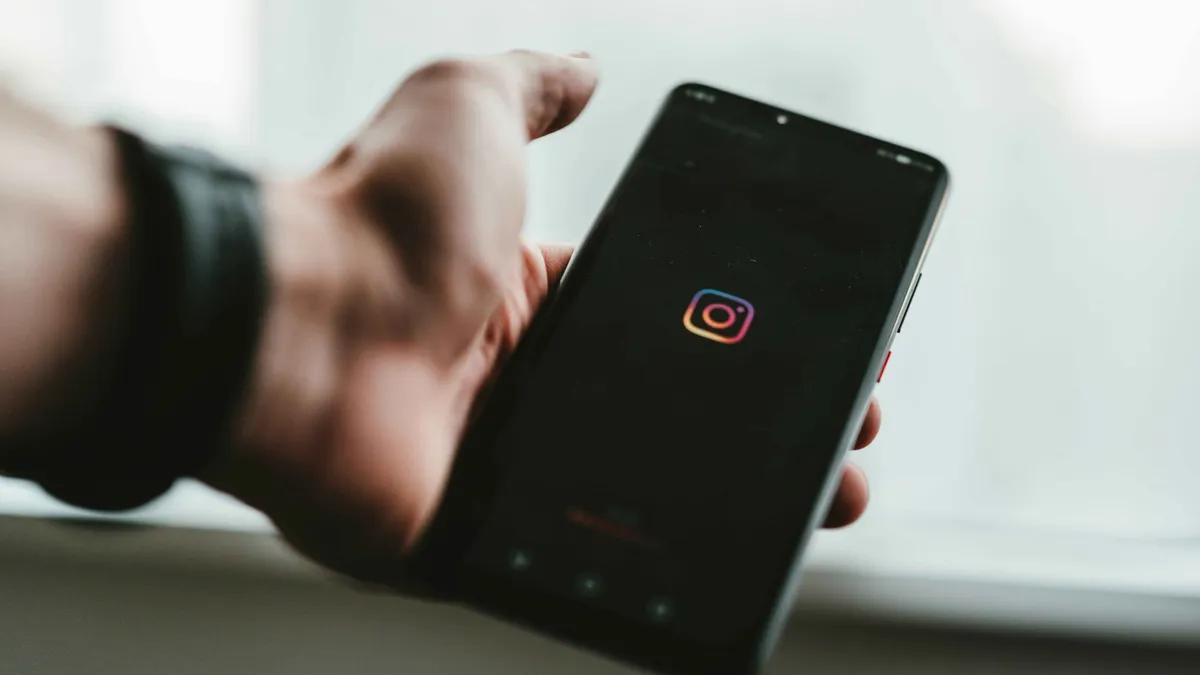 I 4 migliori visualizzatori privati di Instagram: Guida completa ai siti per vedere profili privati Instagram