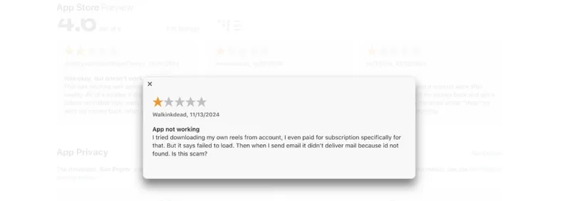Screenshot showing a review of the Insaver Instagram downloader. Screenshot showing a review of the Insaver Instagram downloader.
