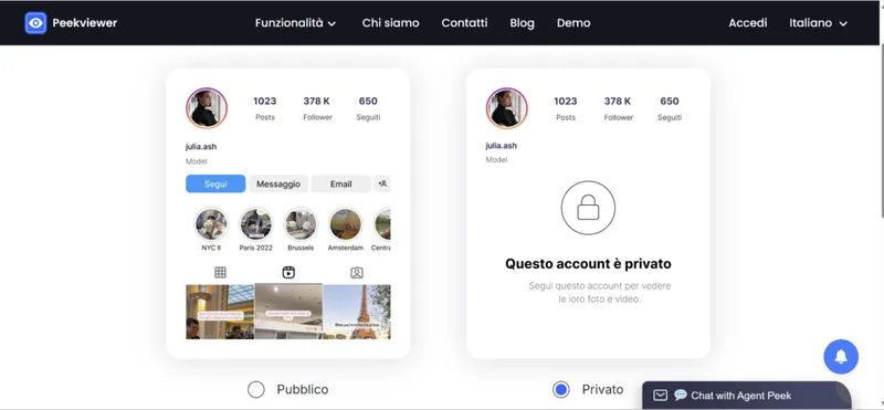 Come usare Peekviewer: selezionare il tipo di account che si desidera monitorare
